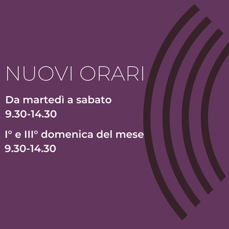 Visita Area Archeologica Nervia