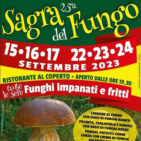 Festa del Fungo