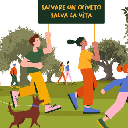 Camminata tra gli Olivi