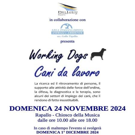 Evento Working Dog