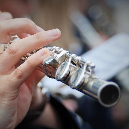 Concerto Banda Musicale