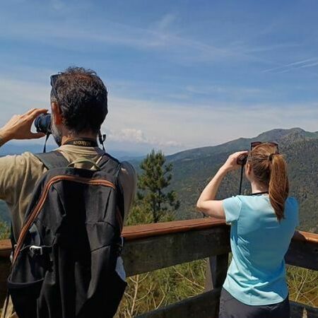 Birdwatching