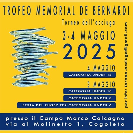 Torneo di rugby