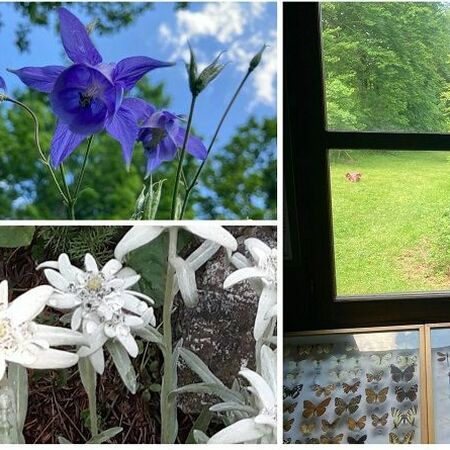 Visita borgo di Campo Ligure