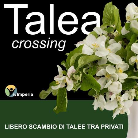 Libero e gratuito scambio di talee e piante tra privati