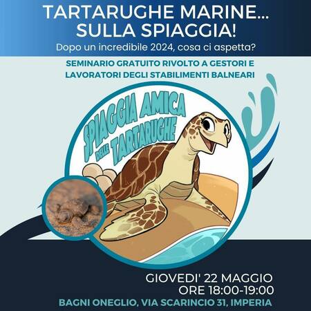 Seminario sulle tartarughe