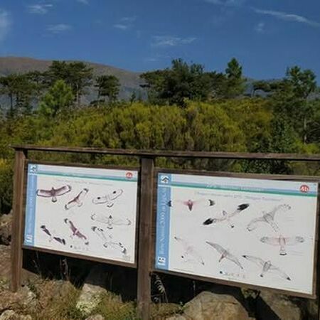 Attività al centro ornitologico
