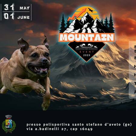 Attività sportive per cani