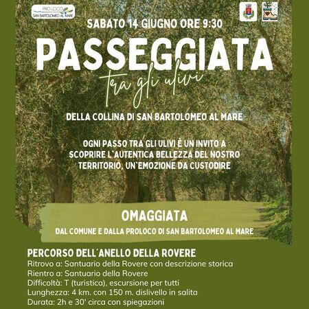 Passeggiata tra gli ulivi