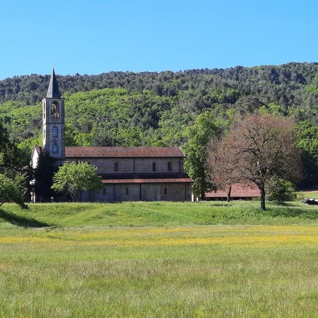 Visita alla Badia di Tiglieto