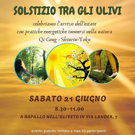 SOLSTIZIO TRA GLI ULIVI