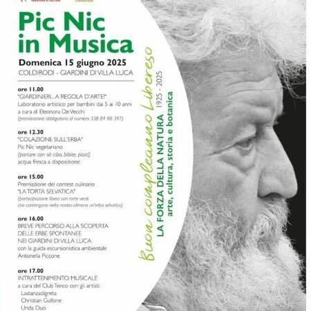 Pic Nic in Musica