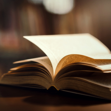 La domenica letteraria