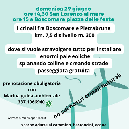 La collina di Boscomare