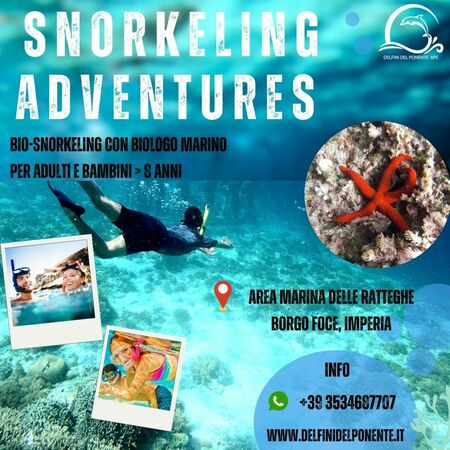 Snorkeling guidato alle Ratteghe