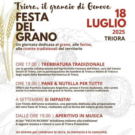 FESTA DEL GRANO